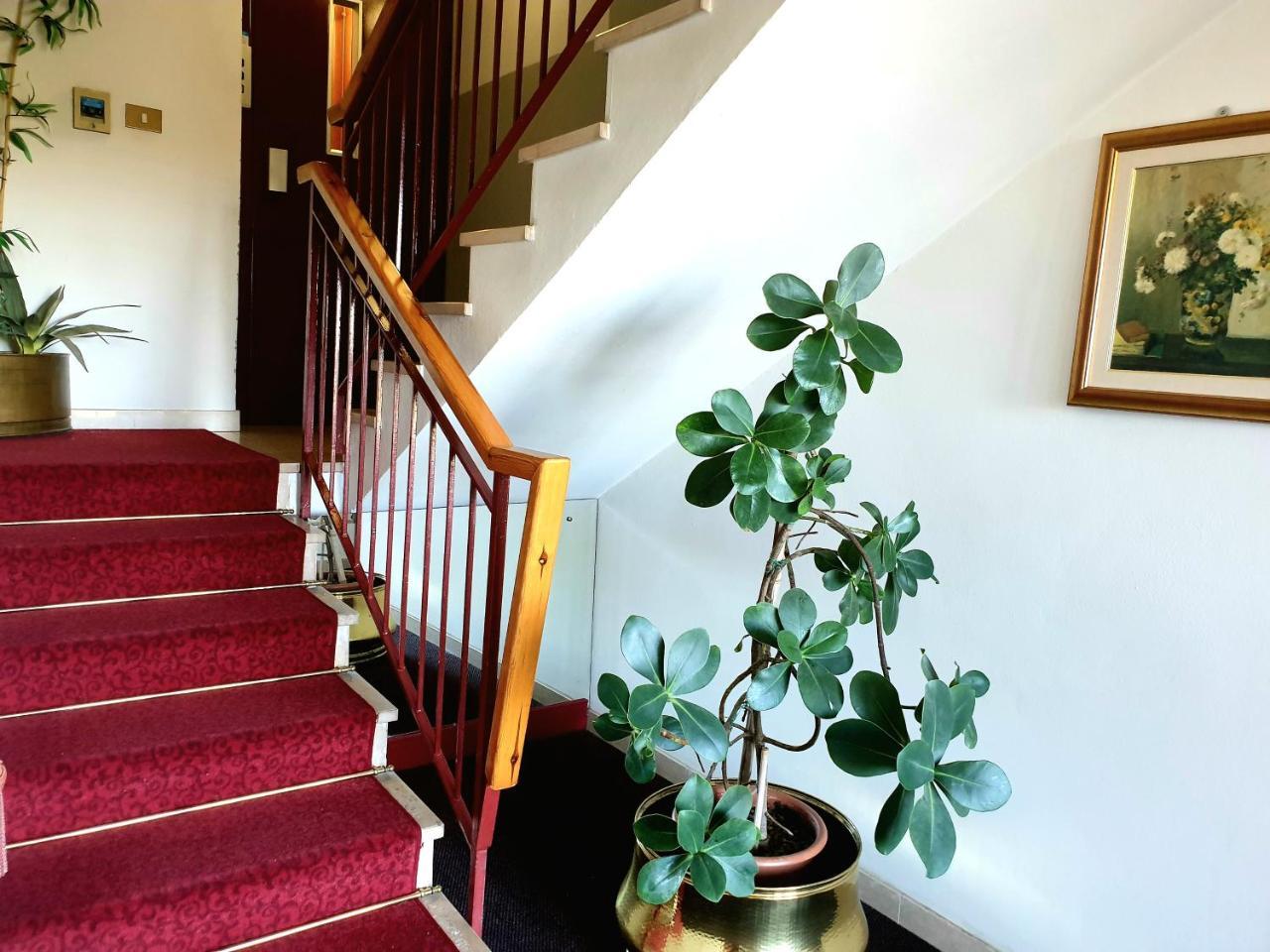 Hotel Paradiso Altedo Ngoại thất bức ảnh